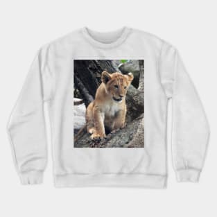 Lion Cub Crewneck Sweatshirt